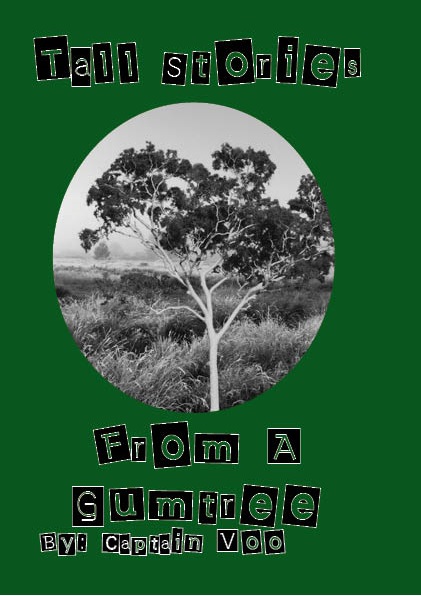 GT cover 1-1