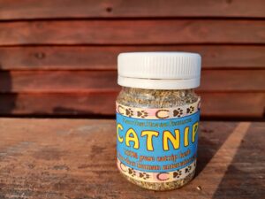 CATNIP 50ML