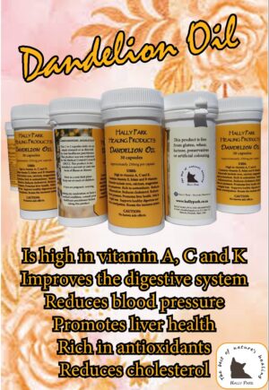 DANDELION OIL 1ML CAPSULES